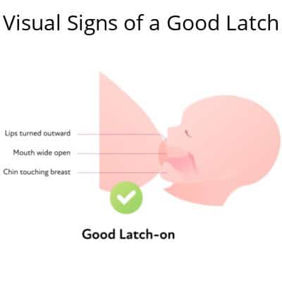 diagram of a newborn doing proper latching with breastfeeding