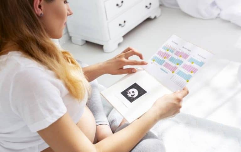 13 Best Pregnancy Journals for New Moms