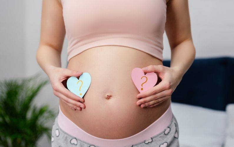 pregnant woman holding pink and blue hearts near her tummy
